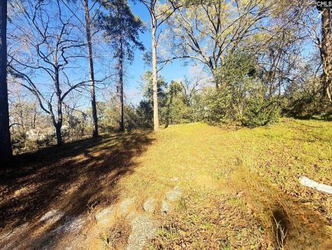 113 Duke Avenue Columbia SC 29203