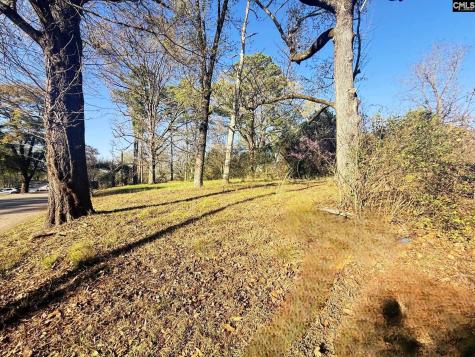 113 Duke Avenue Columbia SC 29203