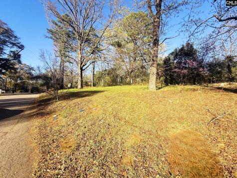 113 Duke Avenue Columbia SC 29203