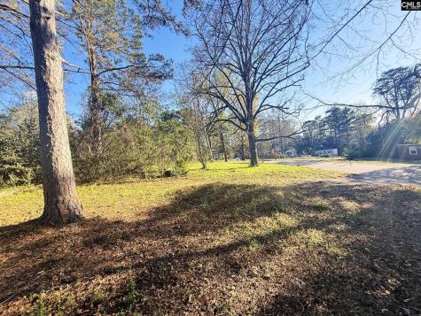 113 Duke Avenue Columbia SC 29203