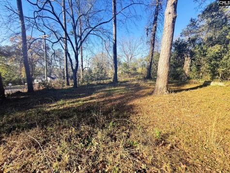 113 Duke Avenue Columbia SC 29203