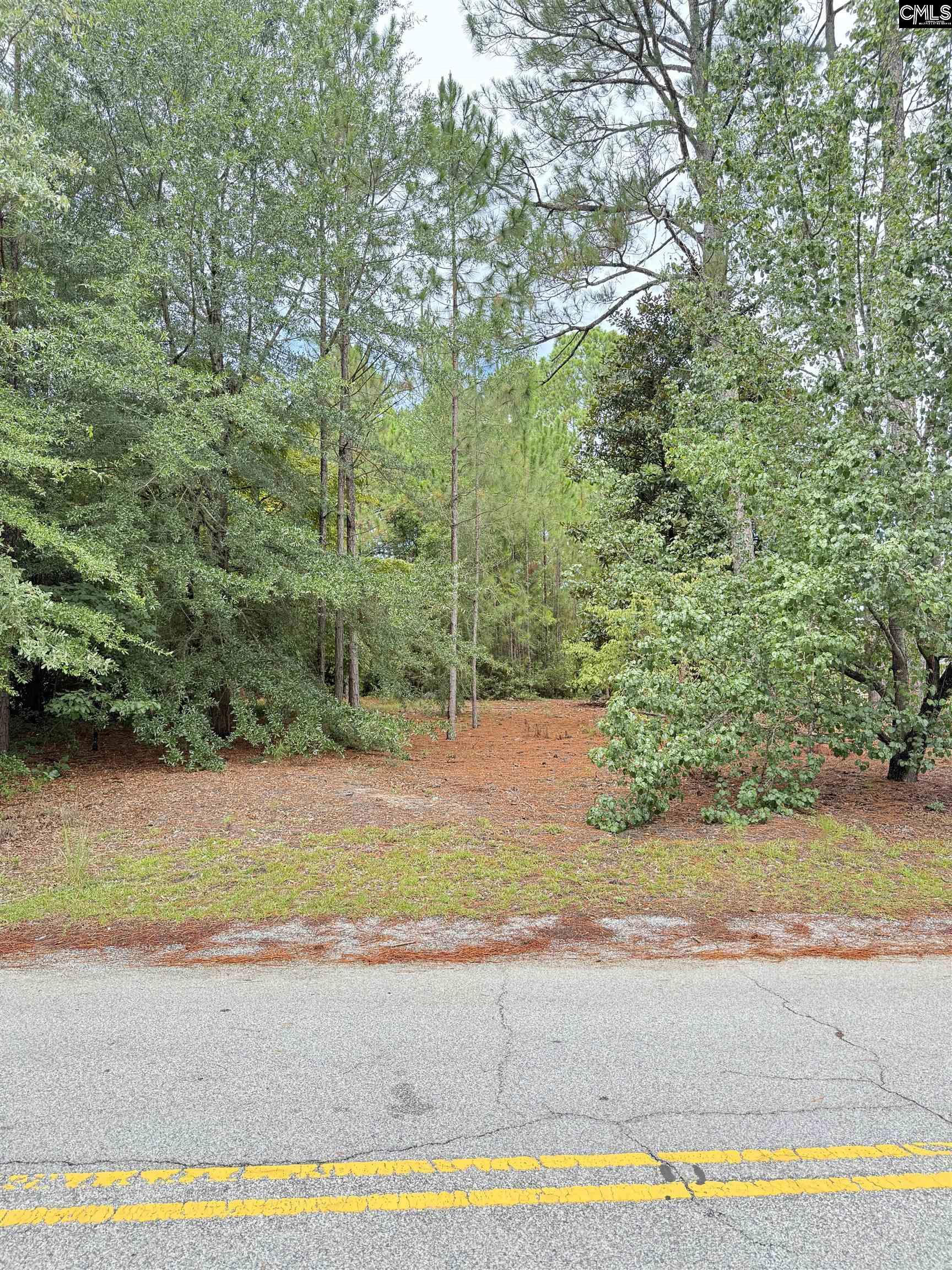 2413 Bermuda Hills Road Columbia SC 29223-6807