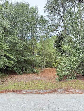 2413 Bermuda Hills Road Columbia SC 29223-6807