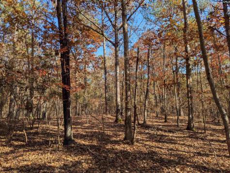 Baron Dekalb Road Camden SC 29020