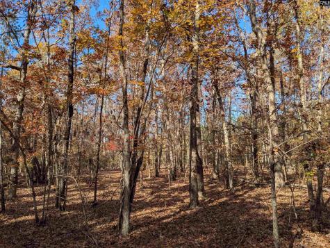 Baron Dekalb Road Camden SC 29020