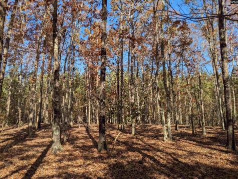 Baron Dekalb Road Camden SC 29020