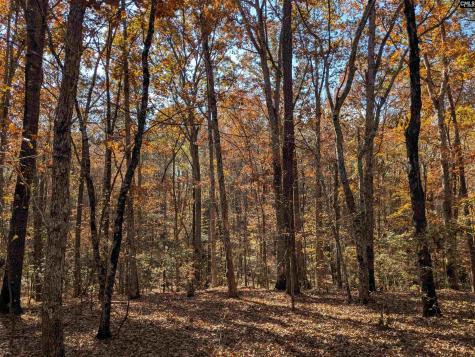 Baron Dekalb Road Camden SC 29020