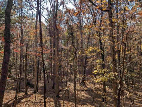 Baron Dekalb Road Camden SC 29020