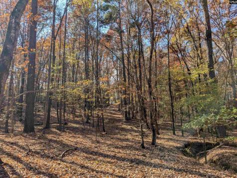 Baron Dekalb Road Camden SC 29020