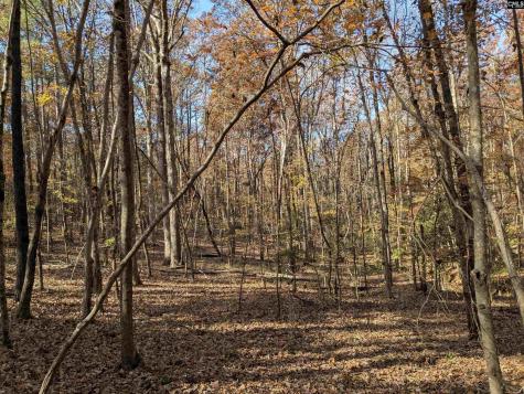 Baron Dekalb Road Camden SC 29020