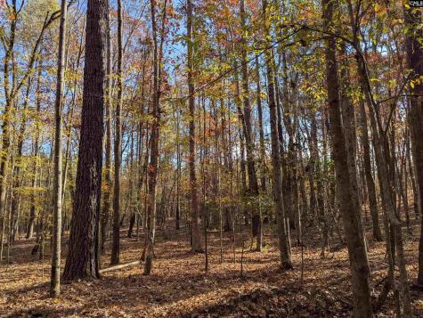 Baron Dekalb Road Camden SC 29020