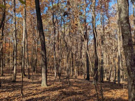 Baron Dekalb Road Camden SC 29020