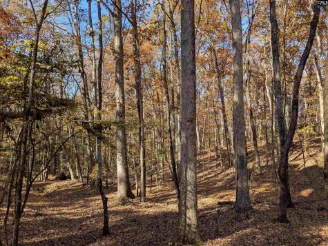 Baron Dekalb Road Camden SC 29020