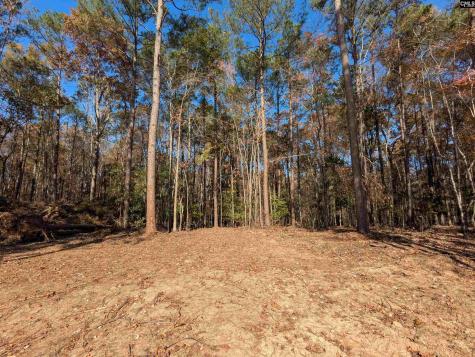 Baron Dekalb Road Camden SC 29020