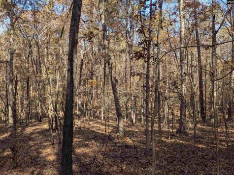 Baron Dekalb Road Camden SC 29020