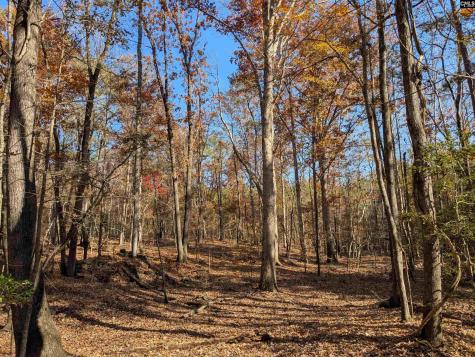 Baron Dekalb Road Camden SC 29020