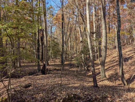 Baron Dekalb Road Camden SC 29020