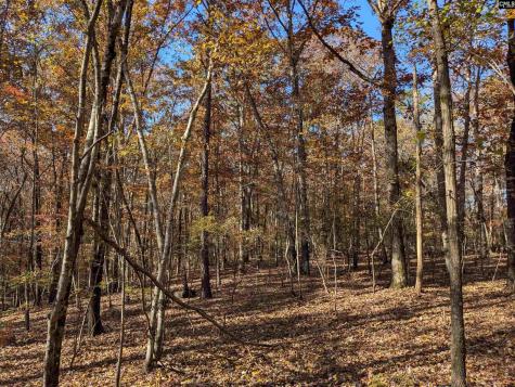 Baron Dekalb Road Camden SC 29020