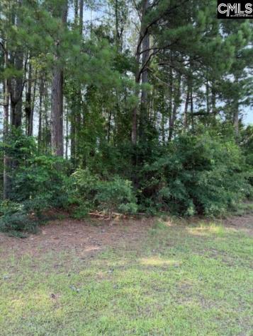 2140 Watersong Run Sumter SC 29150