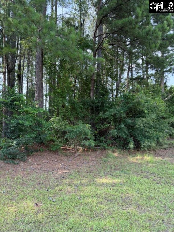 2140 Watersong Run Sumter SC 29150