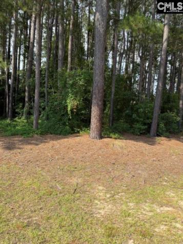 2140 Watersong Run Sumter SC 29150