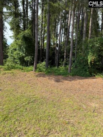 2140 Watersong Run Sumter SC 29150