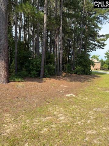 2140 Watersong Run Sumter SC 29150