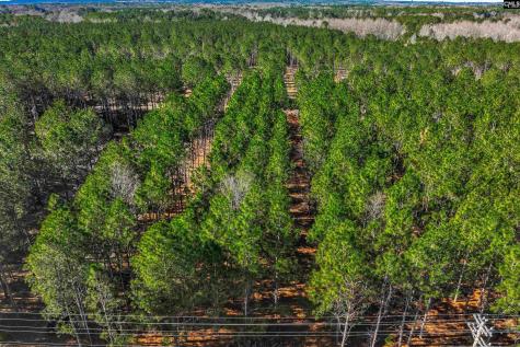 Lot #6 Fairview Road 008200-07-010 Batesburg SC 29006