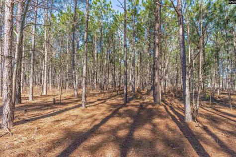 Lot #6 Fairview Road 008200-07-010 Batesburg SC 29006