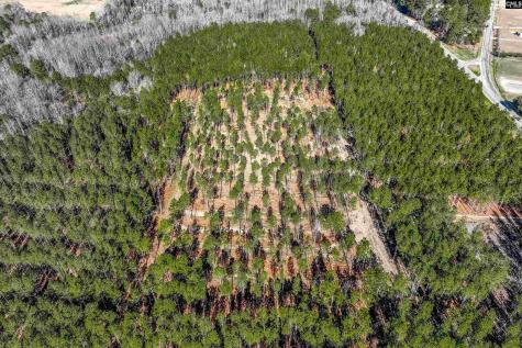 Lot #6 Fairview Road 008200-07-010 Batesburg SC 29006