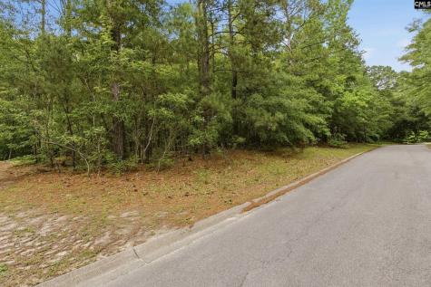 201 Ashley Oaks Drive Blythewood SC 29016