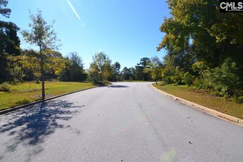 15 Blythe View Court 9 Blythewood SC 29016