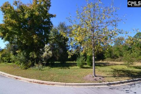 15 Blythe View Court 9 Blythewood SC 29016