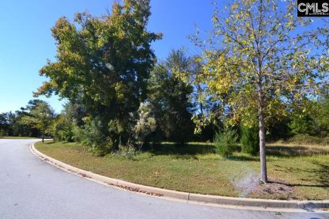 15 Blythe View Court 9 Blythewood SC 29016