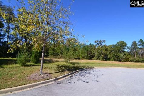 15 Blythe View Court 9 Blythewood SC 29016