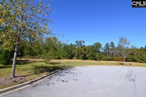 15 Blythe View Court 9 Blythewood SC 29016