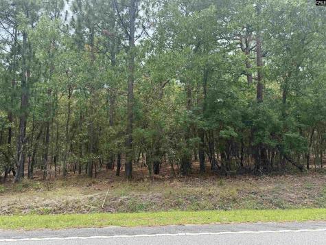 1139 Brewer Springs Road Camden SC 29020