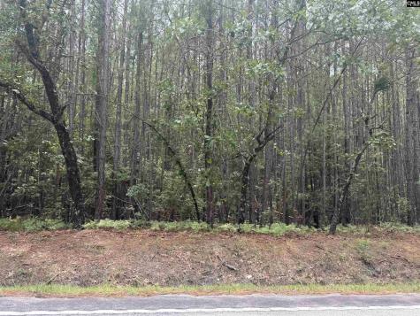 1139 Brewer Springs Road Camden SC 29020