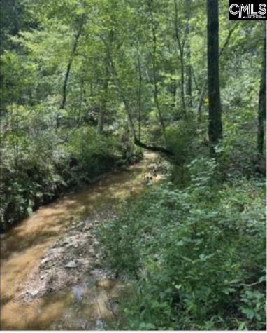 10 Acres Old Edgefield Road Ninety Six SC 29666