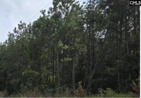 10 Acres Old Edgefield Road Ninety Six SC 29666