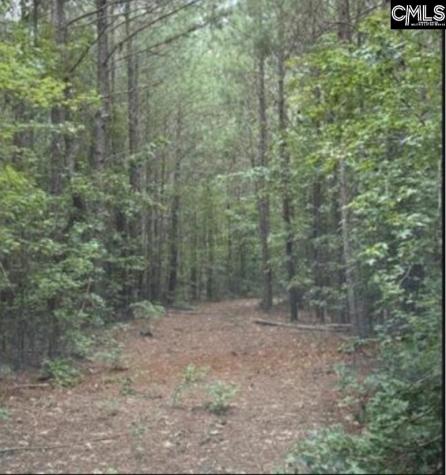 10 Acres Old Edgefield Road Ninety Six SC 29666