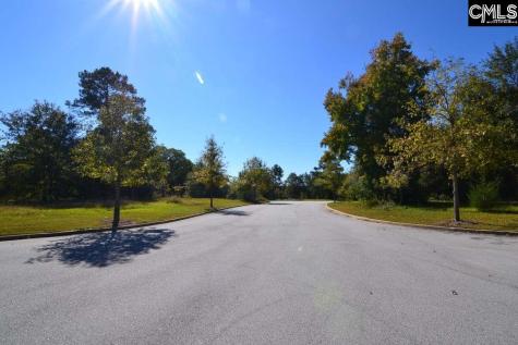 2 Blythe View Court 15 Blythewood SC 29016