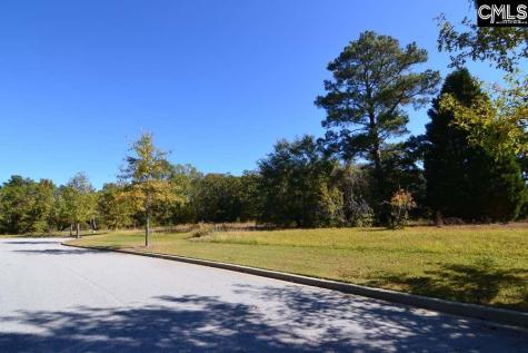 2 Blythe View Court 15 Blythewood SC 29016