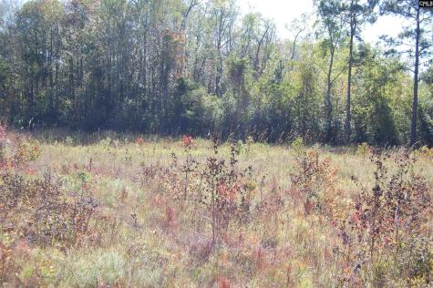 322 Sandspur Road Camden SC 29020
