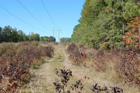 322 Sandspur Road Camden SC 29020