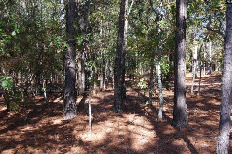 322 Sandspur Road Camden SC 29020