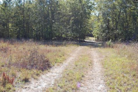 322 Sandspur Road Camden SC 29020