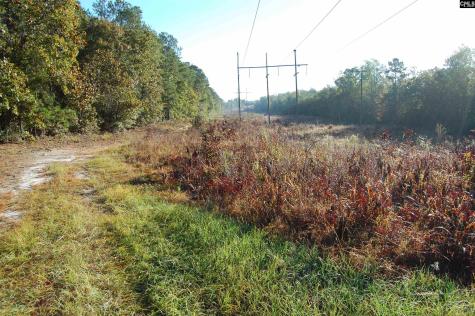 322 Sandspur Road Camden SC 29020