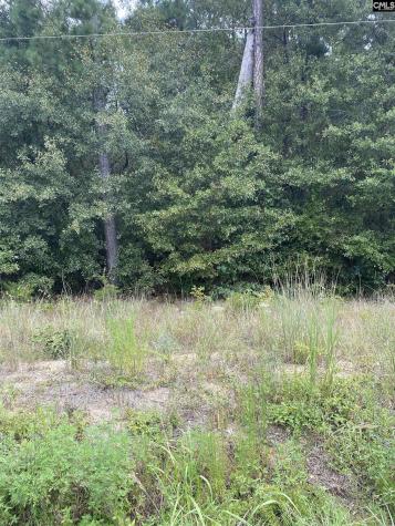 5445 Dubose Siding Road Sumter SC 29153