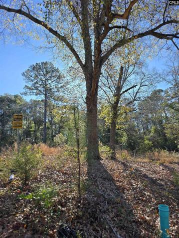 0 Lot 7 Popular Street Cayce SC 29033